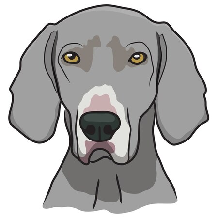 Signmission Weimaraner Dog Decal, Dog Lover Decor Vinyl Sticker D-12-Weimaraner